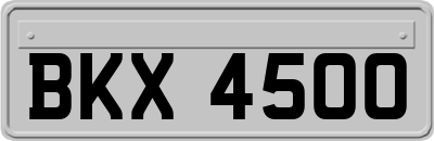 BKX4500