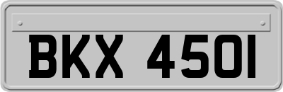 BKX4501