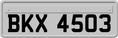 BKX4503