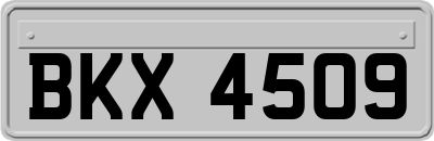 BKX4509
