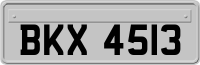 BKX4513