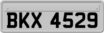 BKX4529