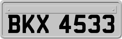 BKX4533