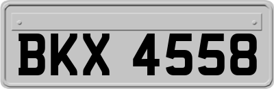 BKX4558