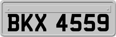 BKX4559
