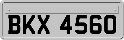 BKX4560