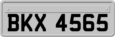 BKX4565