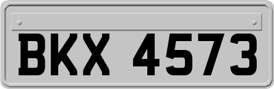 BKX4573