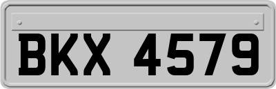 BKX4579
