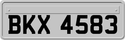 BKX4583