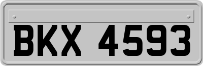 BKX4593