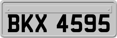 BKX4595