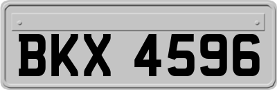 BKX4596