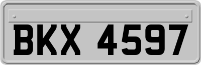 BKX4597