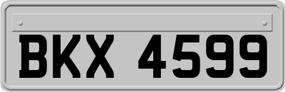 BKX4599