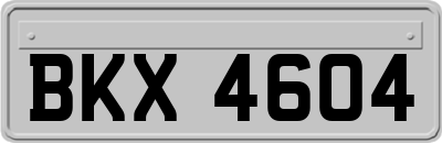 BKX4604