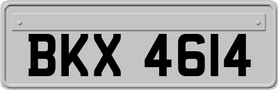 BKX4614