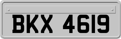 BKX4619