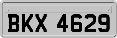 BKX4629