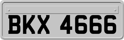 BKX4666