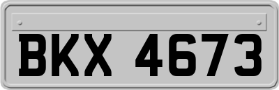 BKX4673