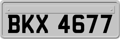 BKX4677