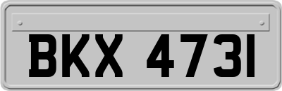 BKX4731