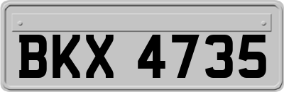 BKX4735
