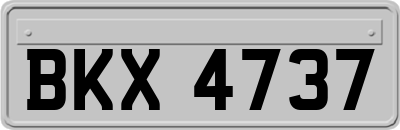 BKX4737