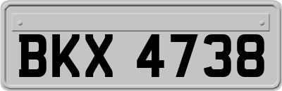 BKX4738
