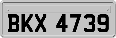 BKX4739