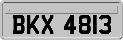BKX4813