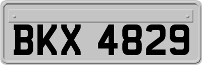 BKX4829