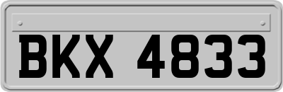 BKX4833