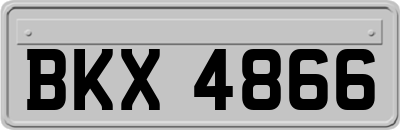 BKX4866