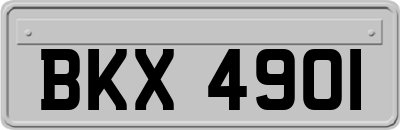 BKX4901