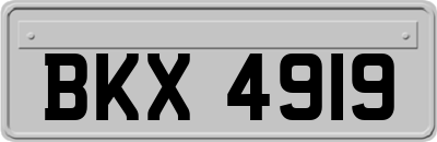 BKX4919