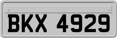 BKX4929