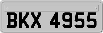 BKX4955