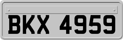 BKX4959