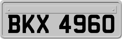 BKX4960