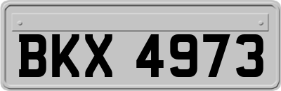 BKX4973