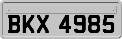 BKX4985