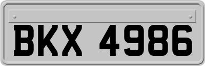 BKX4986