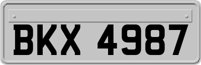 BKX4987