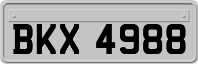 BKX4988