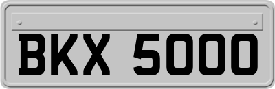 BKX5000