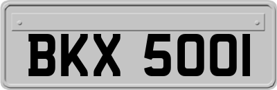 BKX5001