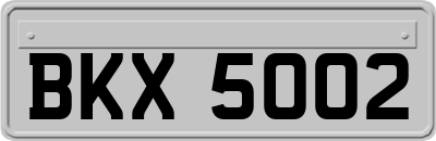 BKX5002
