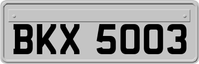 BKX5003